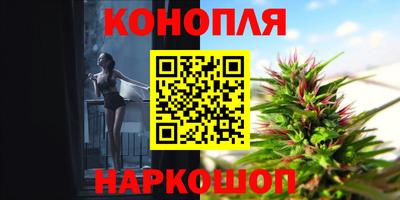 спайс Будённовск