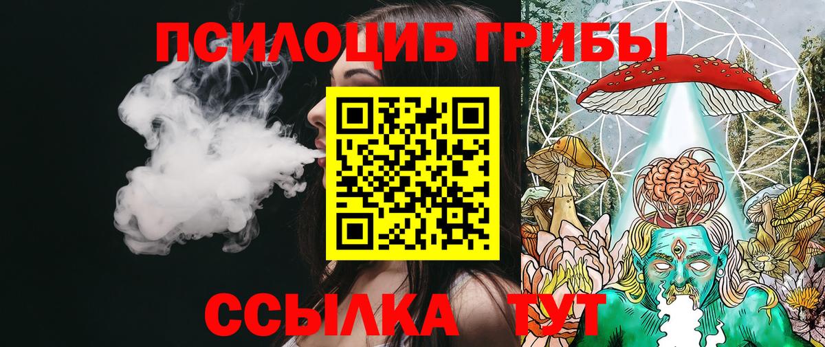 как найти наркотики  Псилоцибиновые грибы Psilocybe  Вход с VPN  Татарск 