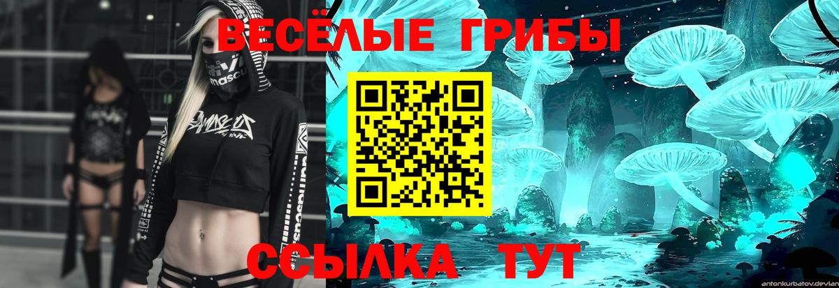Галлюциногенные грибы мухоморы Татарск