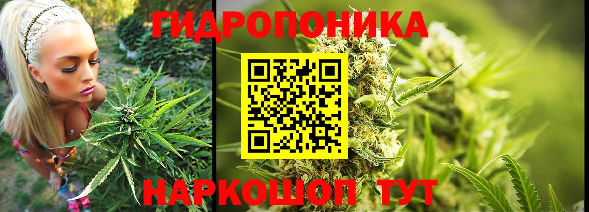 Бошки Шишки конопля Татарск